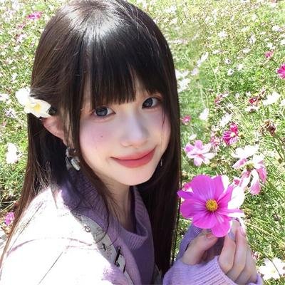 高调人生 高清封面